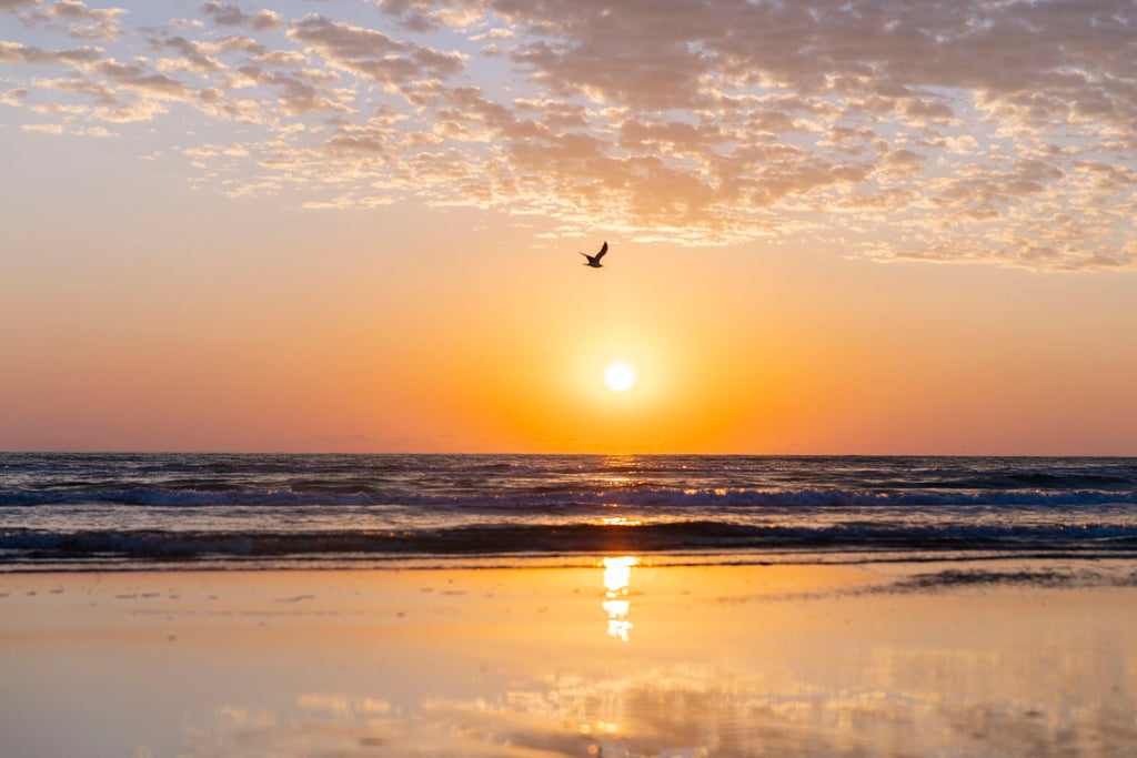 South Padre Island, Texas 2026