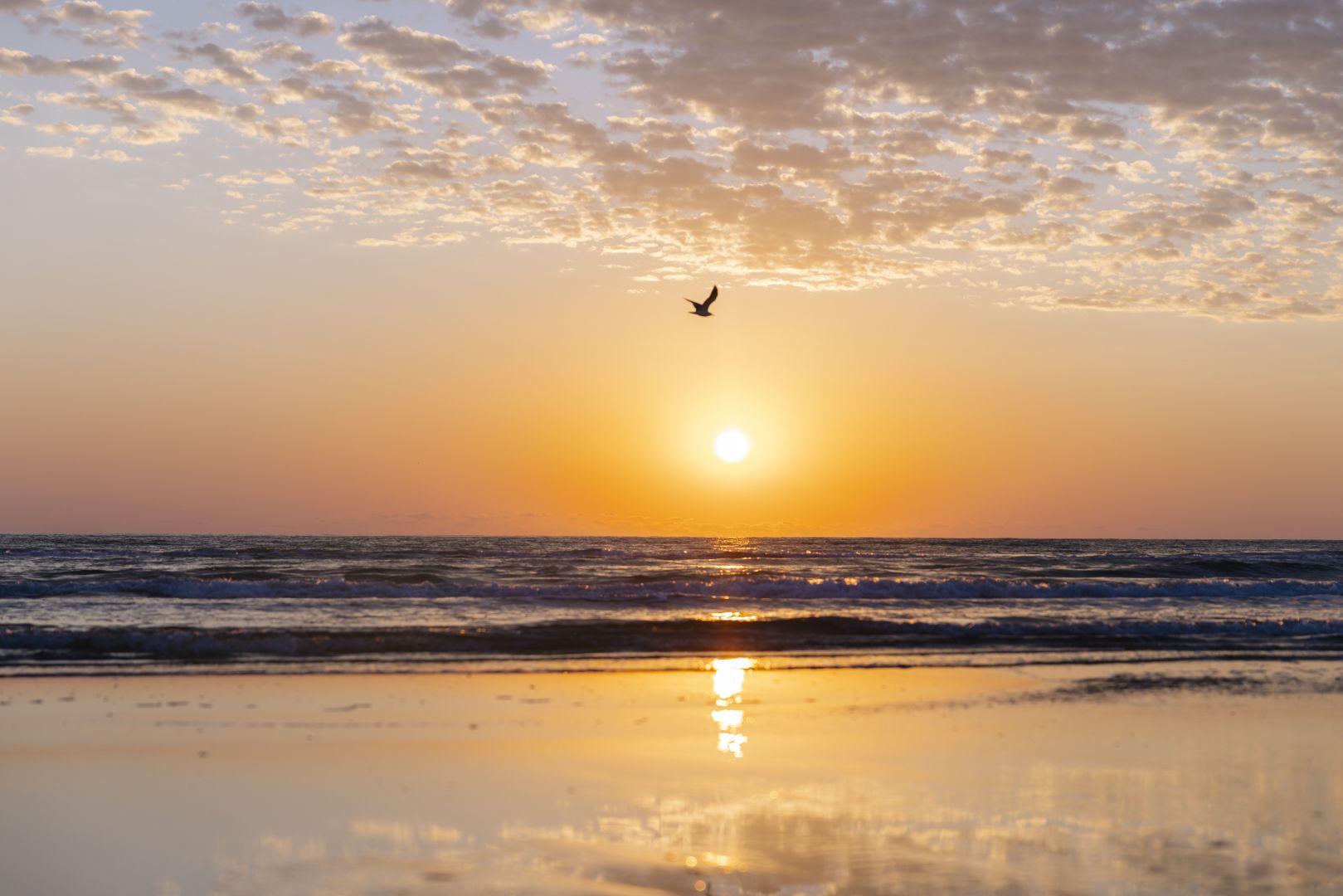 South Padre Island, Texas Spring Break