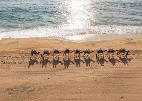 Cabo San Lucas, Mexico Spring Break 2026